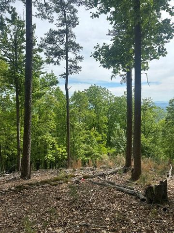 Lot 4 Hampton Knob, Murphy, NC 28906