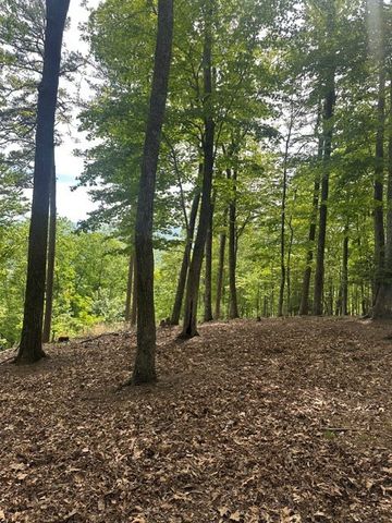 Lot 4 Hampton Knob, Murphy, NC 28906