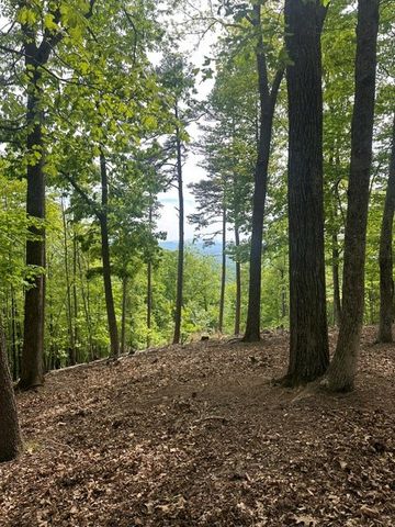 Lot 4 Hampton Knob, Murphy, NC 28906