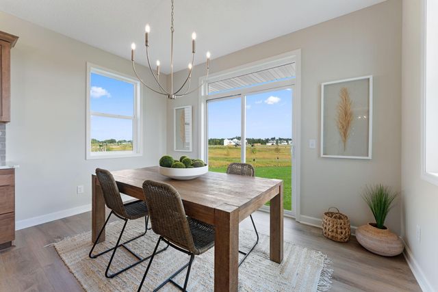 1235 Ardara Ridge Road, Rosemount, MN 55068