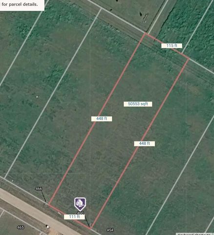 460 Angus Trail, Angleton, TX 77515