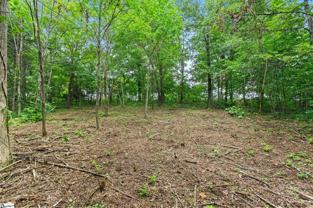 223 May Apple Way, Landrum, SC 29356
