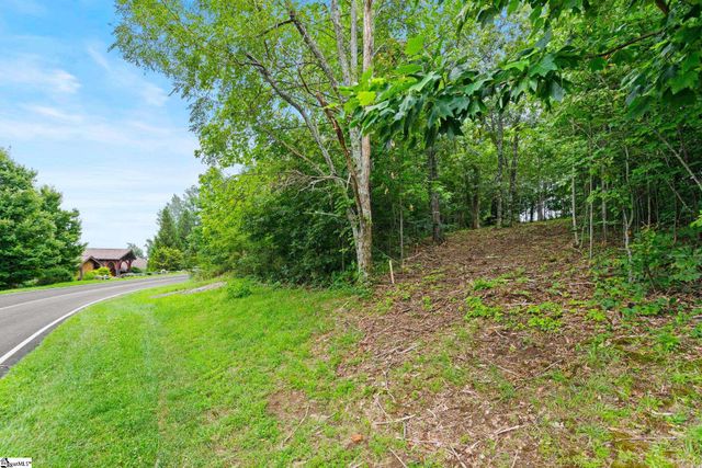 223 May Apple Way, Landrum, SC 29356