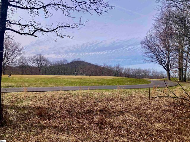 223 May Apple Way, Landrum, SC 29356