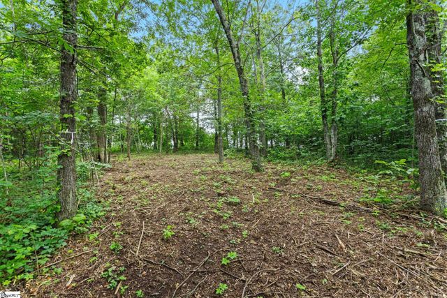 223 May Apple Way, Landrum, SC 29356