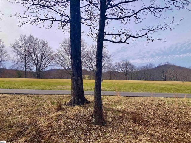 223 May Apple Way, Landrum, SC 29356