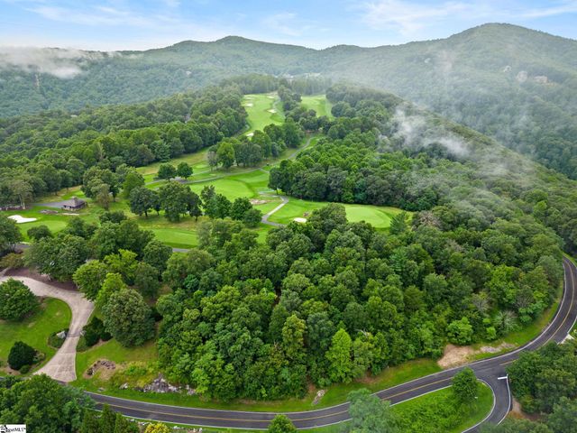 223 May Apple Way, Landrum, SC 29356
