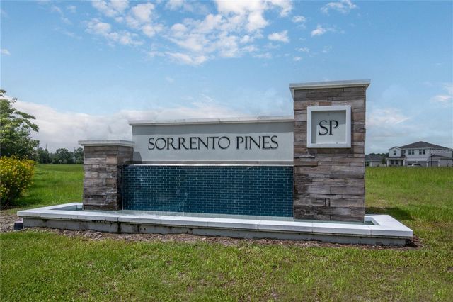 33289 ALWAYS DREAMING, Sorrento, FL 32776