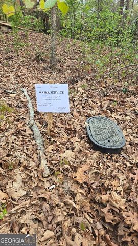 0 Pollys Bluff, Cumming, GA 30028