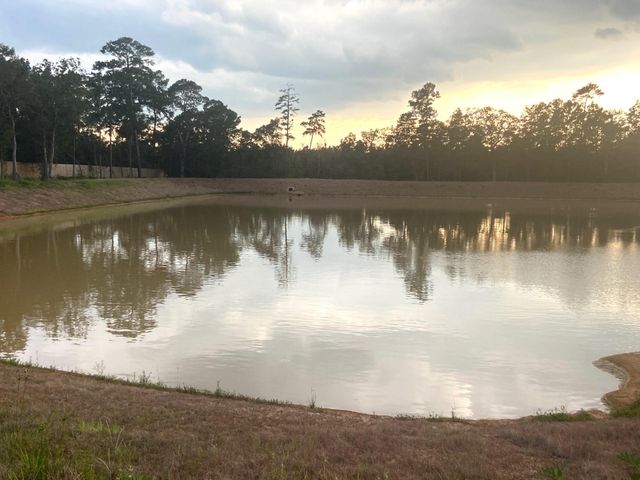 7737 Dog Wood Acres Drive, Montgomery, TX 77316