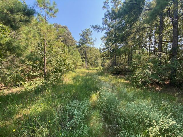 7737 Dog Wood Acres Drive, Montgomery, TX 77316