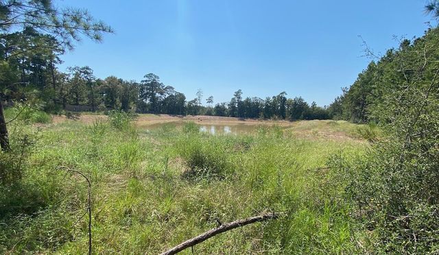 7737 Dog Wood Acres Drive, Montgomery, TX 77316