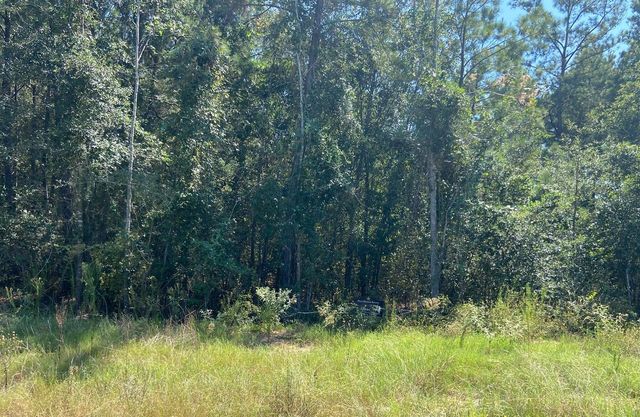 7737 Dog Wood Acres Drive, Montgomery, TX 77316