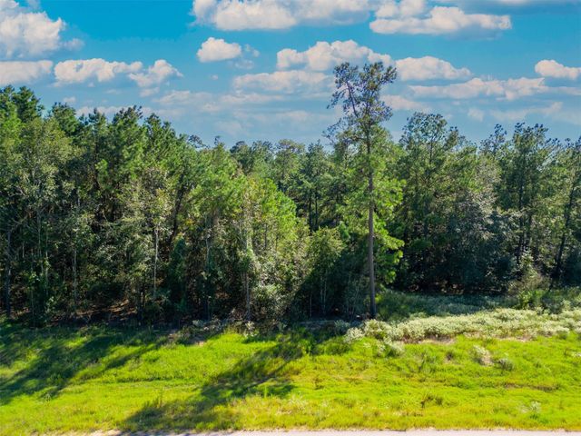 7737 Dog Wood Acres Drive, Montgomery, TX 77316