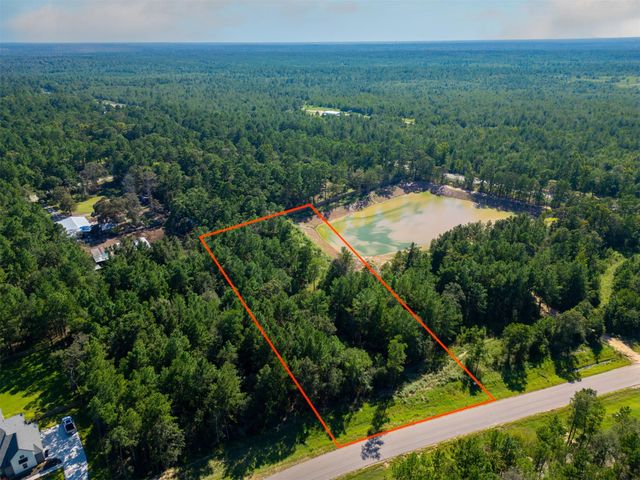 7737 Dog Wood Acres Drive, Montgomery, TX 77316