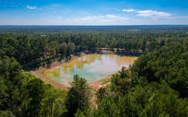 7737 Dog Wood Acres Drive, Montgomery, TX 77316