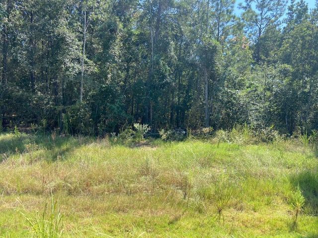 7737 Dog Wood Acres Drive, Montgomery, TX 77316