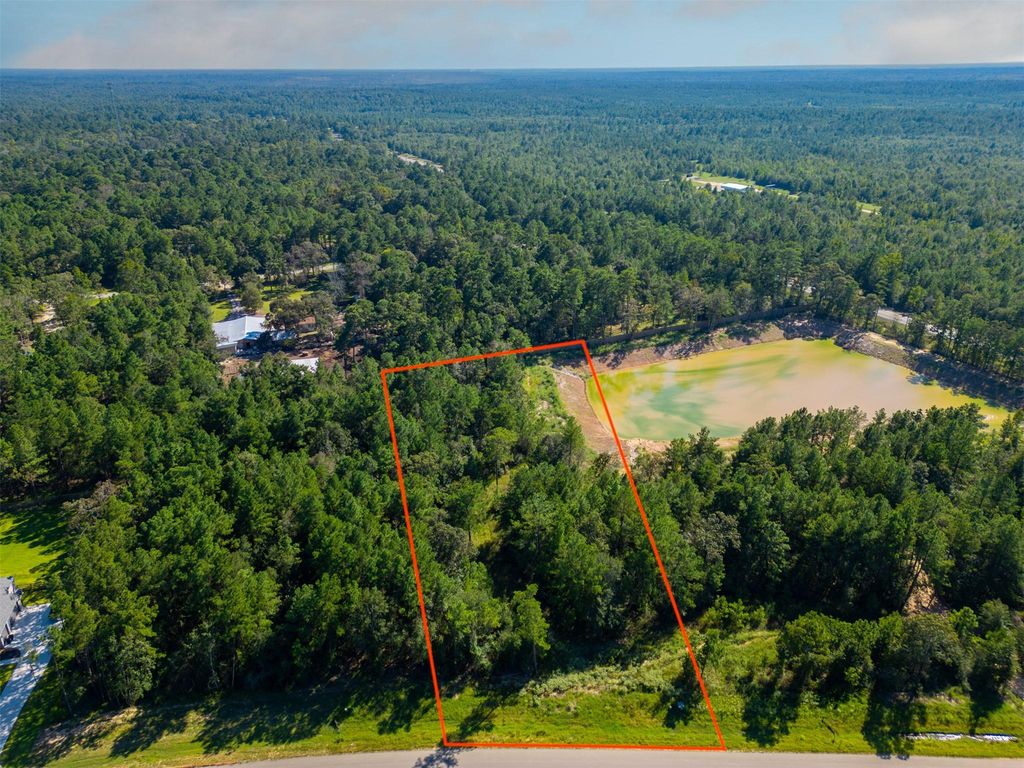 7737 Dog Wood Acres Drive, Montgomery, TX 77316