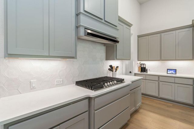 333 Knockout Rose DR, San Marcos, TX 78666