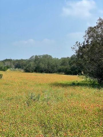 2308 County Road 414, Spicewood, TX 78669