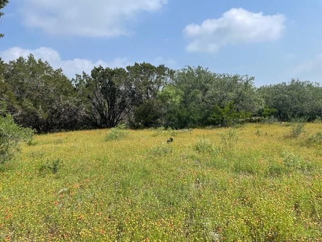 2308 County Road 414, Spicewood, TX 78669