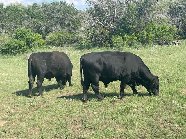 2308 County Road 414, Spicewood, TX 78669