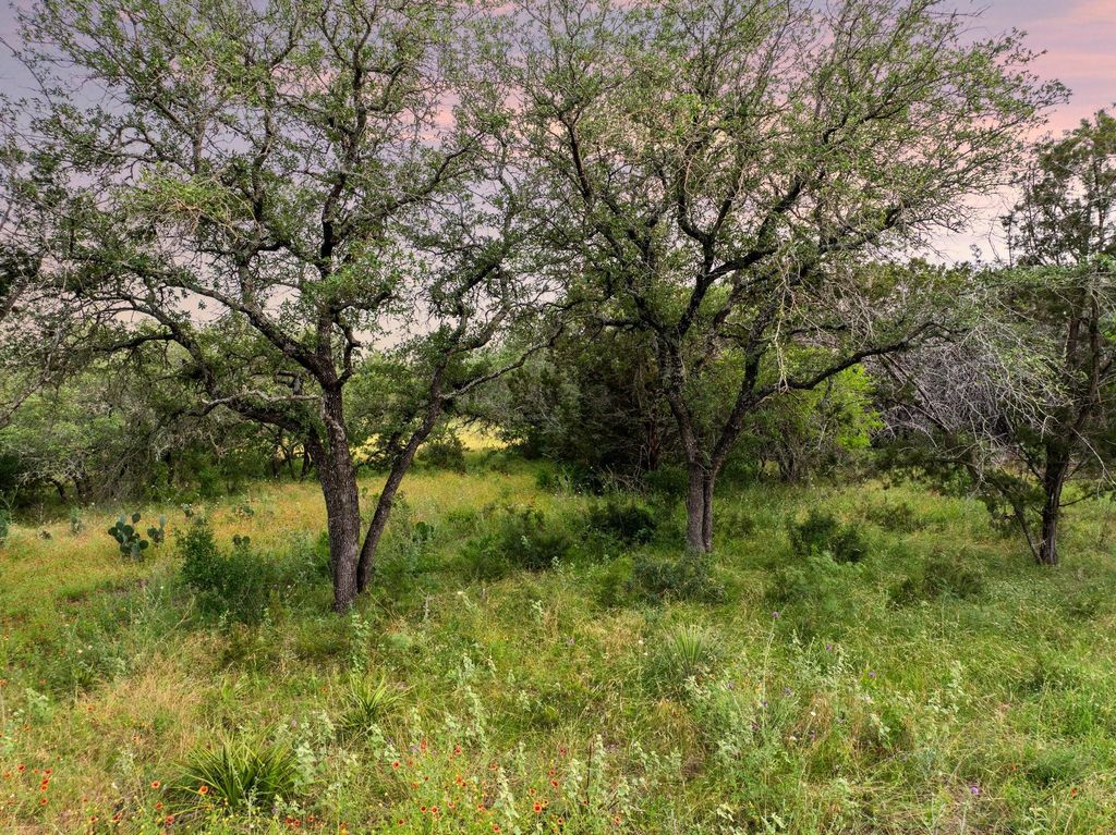 2308 County Road 414, Spicewood, TX 78669