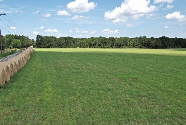 Lot 4 VZ County Road 3208, Wills Point, TX 75169
