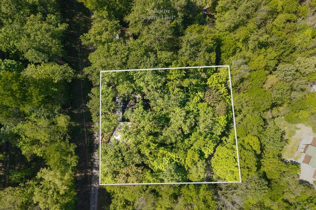 280 Hurricane Hill Rd, Silver Point, TN 38582
