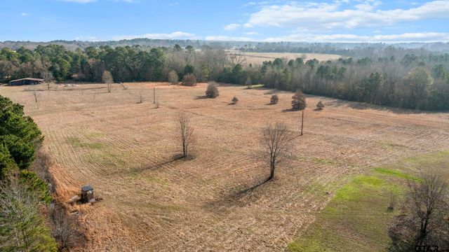 18345 CR 2142, Troup, TX 75789