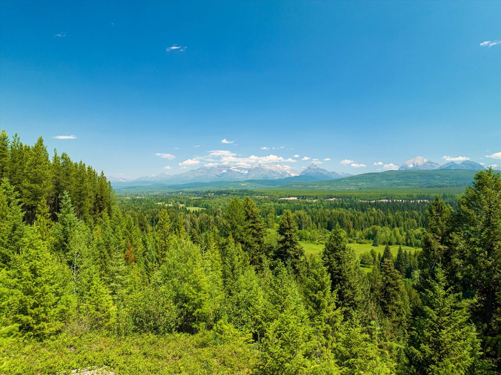 9670 North Fork Road, Polebridge, MT 59928 photo 74