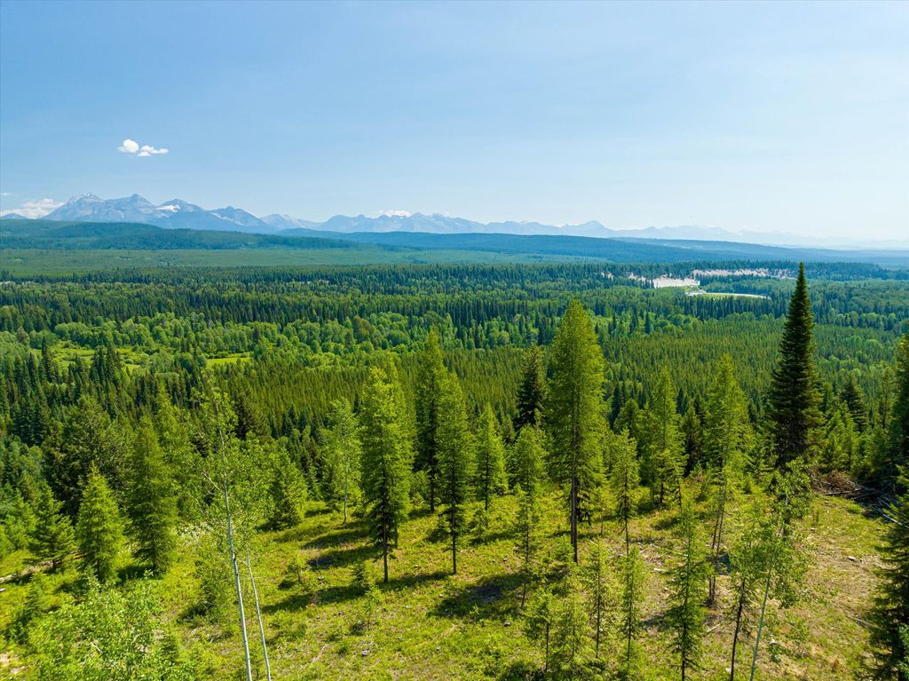 9670 North Fork Road, Polebridge, MT 59928 photo 75