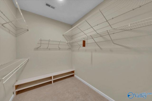 141 Antique Rose Drive, Madison, AL 35758