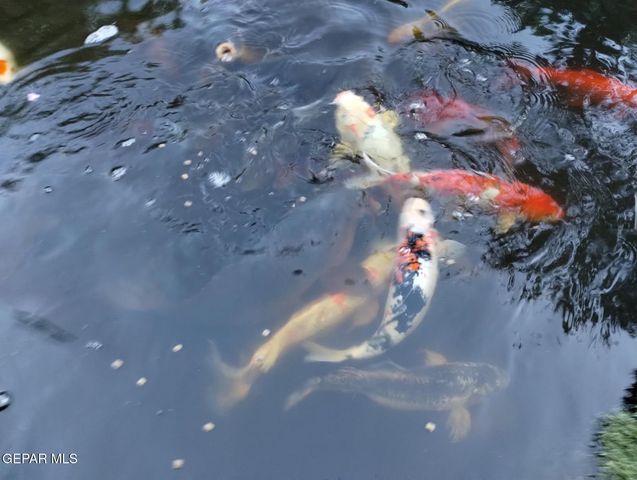 7413 LENOX Court, El Paso, TX 79912