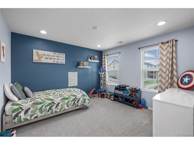 2660 Gray Wolf Pt, Castle Rock, CO 80104