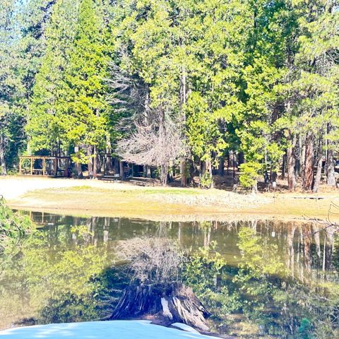 3292 El Camino Boot Strap, Arnold, CA 95223