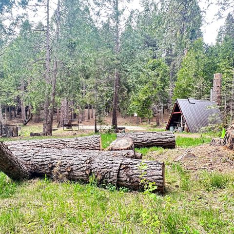 3292 El Camino Boot Strap, Arnold, CA 95223