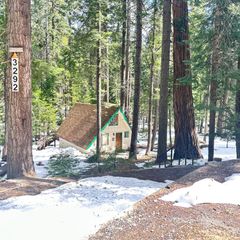 3292 El Camino Boot Strap, Arnold, CA 95223