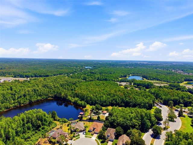 8724 PRESTON WOODS COURT, Land O Lakes, FL 34638
