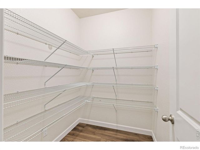 286 Western Sky Circle, Longmont, CO 80501