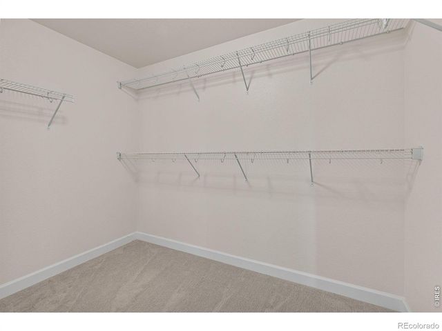 286 Western Sky Circle, Longmont, CO 80501