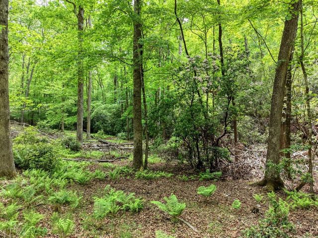 277 Clay Durrett Road, Murphy, NC 28906