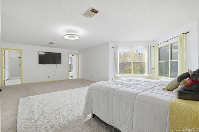 17022 Irongate Rail, San Antonio, TX 78247