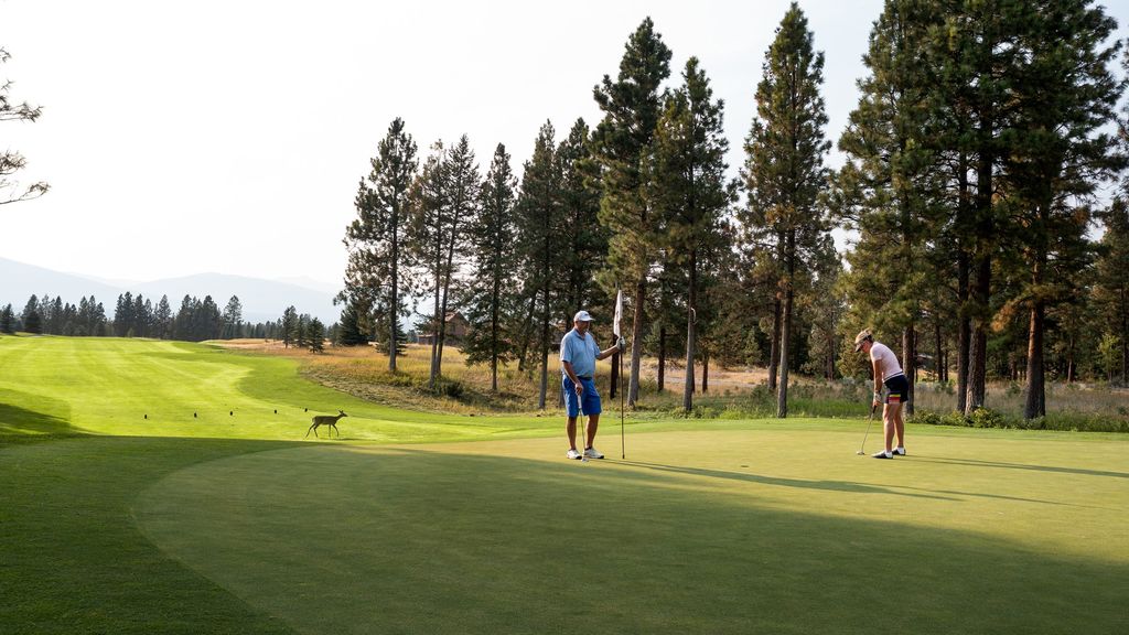 44 Poppy Court, Eureka, MT 59917 photo 4