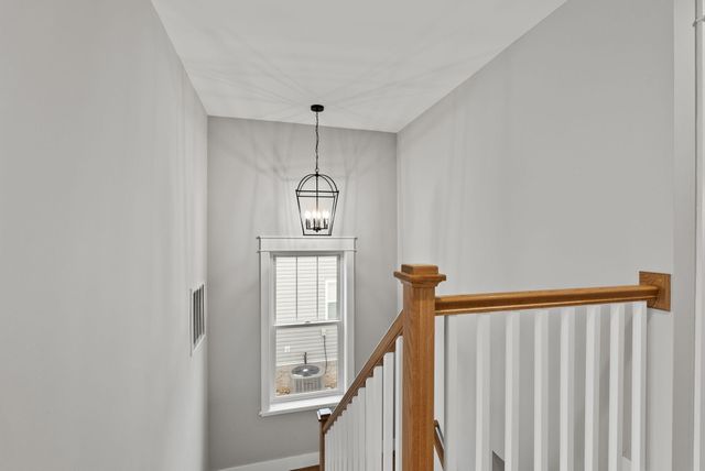 305 Preston Avenue, Lexington, KY 40502