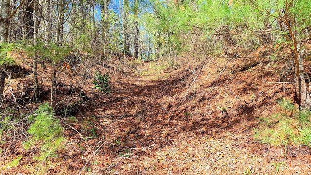 000 Jeter Mountain Road, Hendersonville, NC 28739