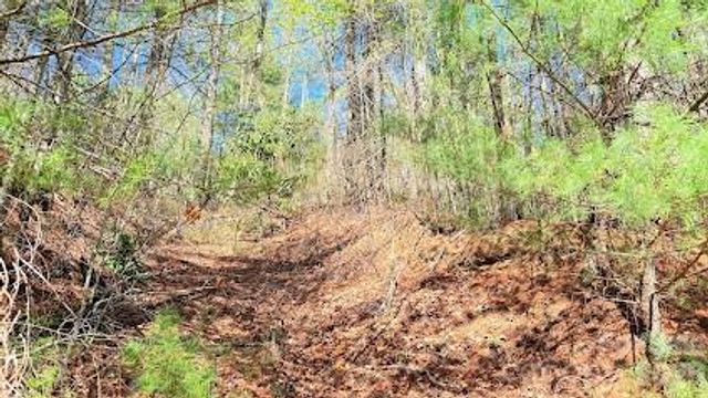 000 Jeter Mountain Road, Hendersonville, NC 28739