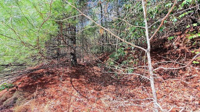 000 Jeter Mountain Road, Hendersonville, NC 28739