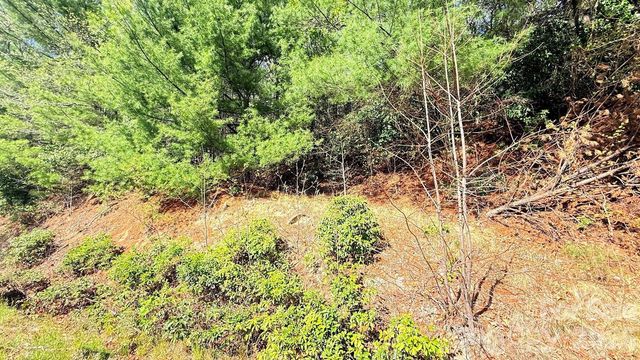 000 Jeter Mountain Road, Hendersonville, NC 28739