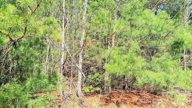 000 Jeter Mountain Road, Hendersonville, NC 28739